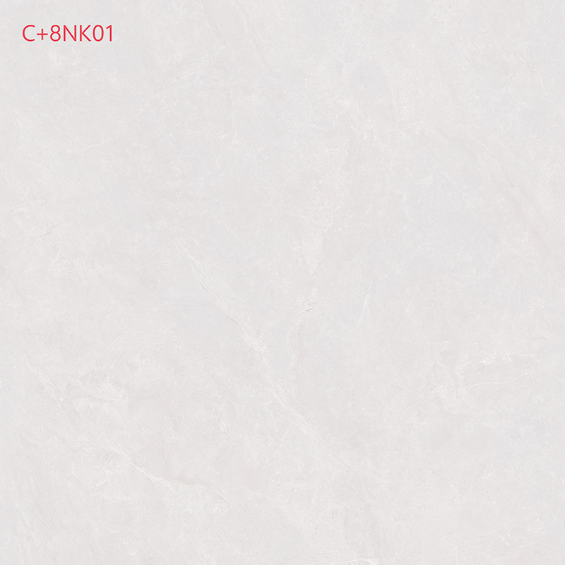 C+8NK01