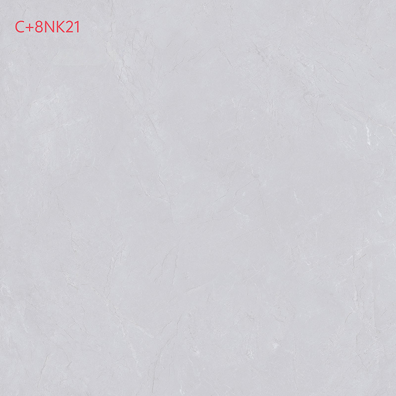 C+8NK21